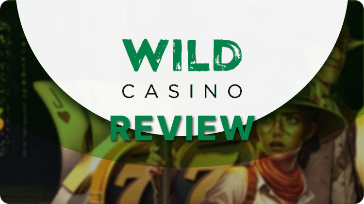 Wild Casino review promotional graphic design.
