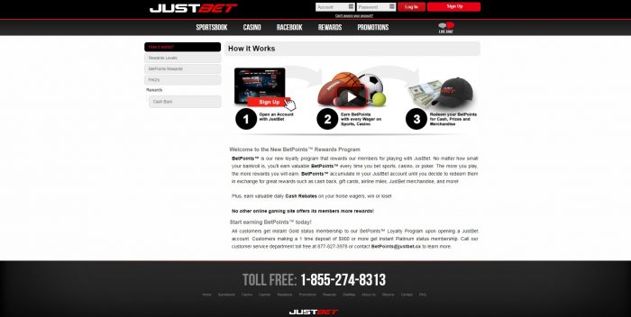 Website showing rewards program details and steps.