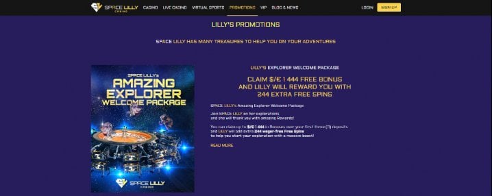 Online casino promotion for bonus and spins.